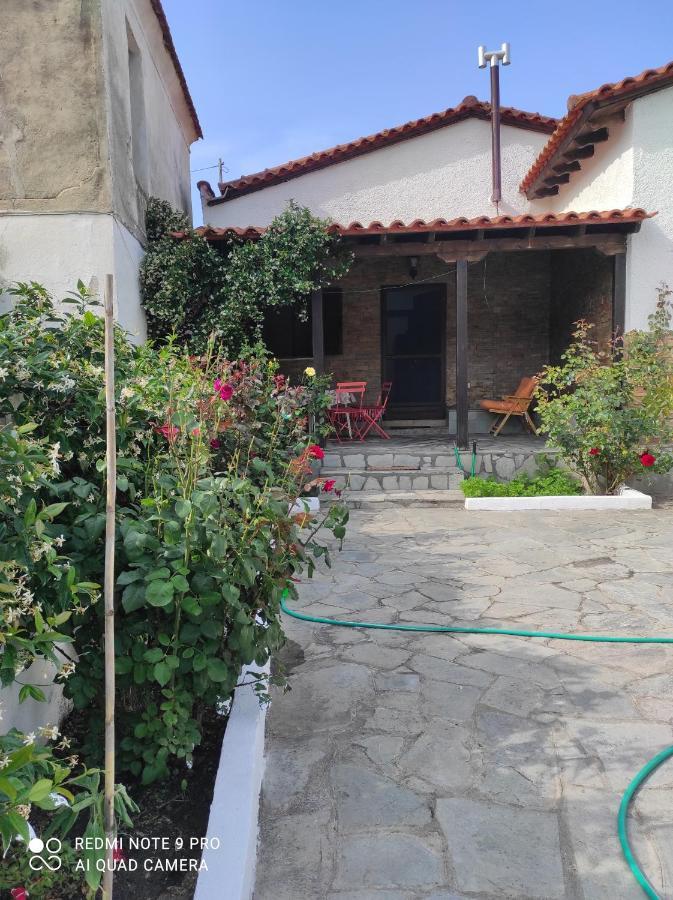 فيلا Detached House In Sykia المظهر الخارجي الصورة